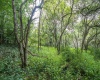 7 Roaring Plains Drive, Dryfork, West Virginia 26263, 0 , 0 ,0,Lots/land,For Sale,Roaring Plains,0,10166563