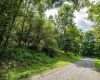 7 Roaring Plains Drive, Dryfork, West Virginia 26263, 0 , 0 ,0,Lots/land,For Sale,Roaring Plains,0,10166563