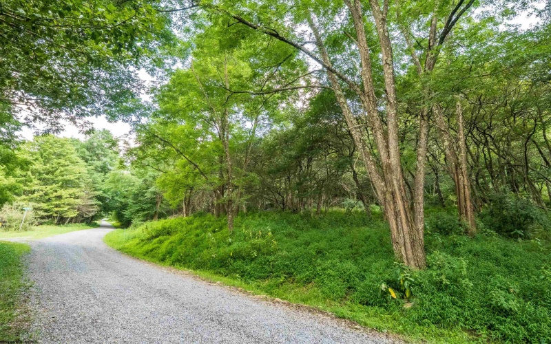 7 Roaring Plains Drive, Dryfork, West Virginia 26263, 0 , 0 ,0,Lots/land,For Sale,Roaring Plains,0,10166563