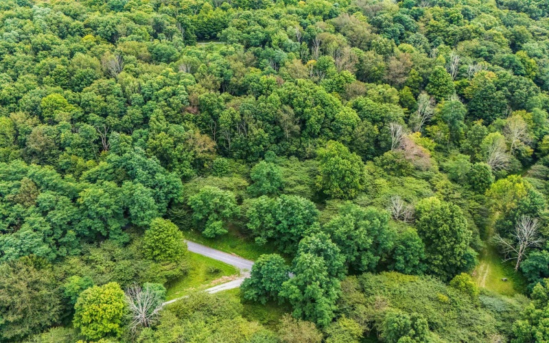 7 Roaring Plains Drive, Dryfork, West Virginia 26263, 0 , 0 ,0,Lots/land,For Sale,Roaring Plains,0,10166563