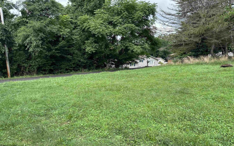 1043 Curtis Avenue, Morgantown, West Virginia 26501, 2 Bedrooms Bedrooms, 5 Rooms Rooms,1 BathroomBathrooms,Single Family Detached,For Sale,Curtis,0,10166550