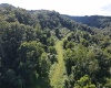 TBD Hog Camp Road, Jane Lew, West Virginia 26378, 0 , 0 ,0,Lots/land,For Sale,Hog Camp,0,10166587