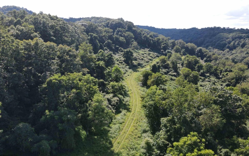 TBD Hog Camp Road, Jane Lew, West Virginia 26378, 0 , 0 ,0,Lots/land,For Sale,Hog Camp,0,10166587