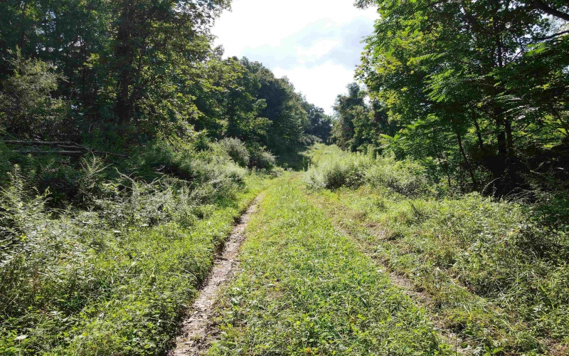 TBD Hog Camp Road, Jane Lew, West Virginia 26378, 0 , 0 ,0,Lots/land,For Sale,Hog Camp,0,10166587