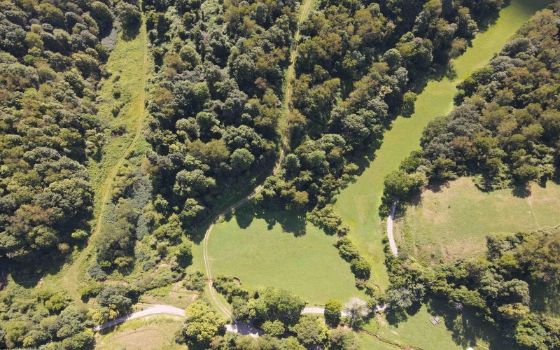 TBD Hog Camp Road, Jane Lew, West Virginia 26378, 0 , 0 ,0,Lots/land,For Sale,Hog Camp,0,10166587