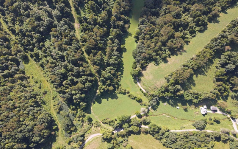 TBD Hog Camp Road, Jane Lew, West Virginia 26378, 0 , 0 ,0,Lots/land,For Sale,Hog Camp,0,10166587