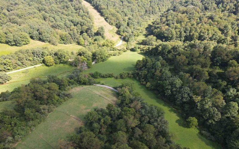 TBD Hog Camp Road, Jane Lew, West Virginia 26378, 0 , 0 ,0,Lots/land,For Sale,Hog Camp,0,10166587