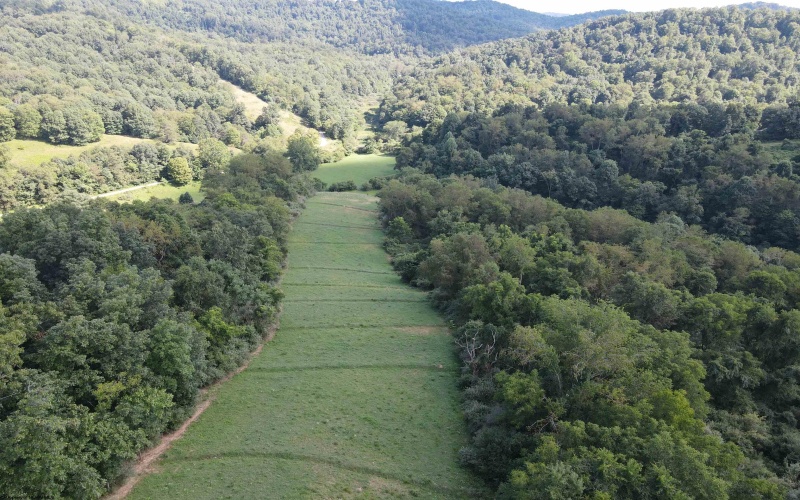 TBD Hog Camp Road, Jane Lew, West Virginia 26378, 0 , 0 ,0,Lots/land,For Sale,Hog Camp,0,10166587