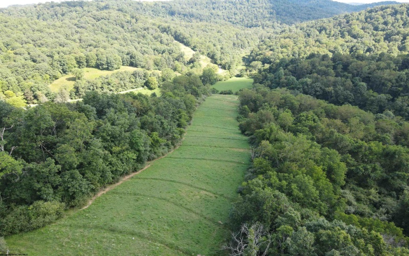 TBD Hog Camp Road, Jane Lew, West Virginia 26378, 0 , 0 ,0,Lots/land,For Sale,Hog Camp,0,10166587