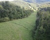 TBD Hog Camp Road, Jane Lew, West Virginia 26378, 0 , 0 ,0,Lots/land,For Sale,Hog Camp,0,10166587