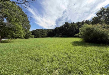 TBD Hog Camp Road, Jane Lew, West Virginia 26378, 0 , 0 ,0,Lots/land,For Sale,Hog Camp,0,10166587