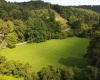 TBD Hog Camp Road, Jane Lew, West Virginia 26378, 0 , 0 ,0,Lots/land,For Sale,Hog Camp,0,10166587