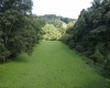 TBD Hog Camp Road, Jane Lew, West Virginia 26378, 0 , 0 ,0,Lots/land,For Sale,Hog Camp,0,10166587