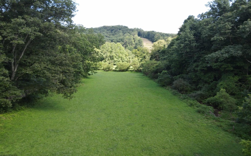 TBD Hog Camp Road, Jane Lew, West Virginia 26378, 0 , 0 ,0,Lots/land,For Sale,Hog Camp,0,10166587