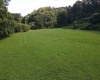TBD Hog Camp Road, Jane Lew, West Virginia 26378, 0 , 0 ,0,Lots/land,For Sale,Hog Camp,0,10166587