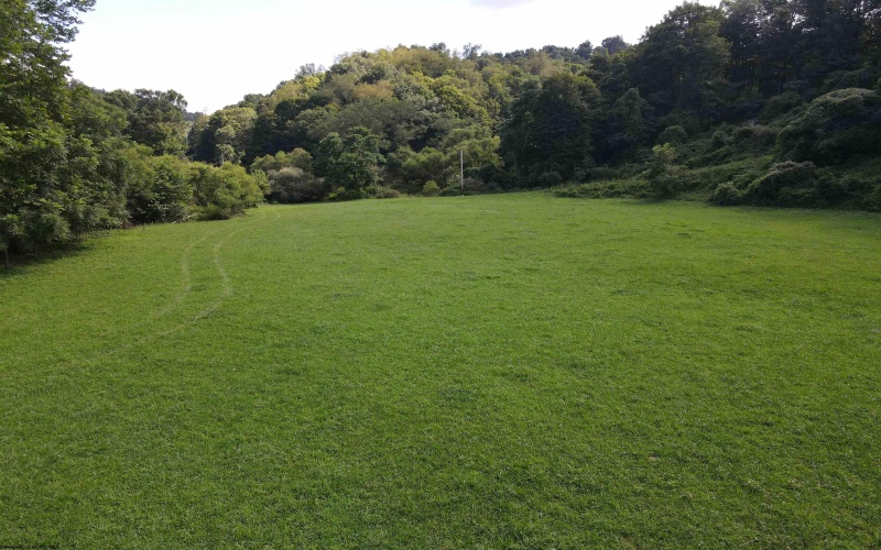 TBD Hog Camp Road, Jane Lew, West Virginia 26378, 0 , 0 ,0,Lots/land,For Sale,Hog Camp,0,10166587