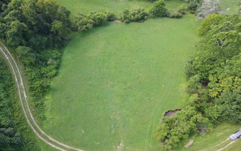 TBD Hog Camp Road, Jane Lew, West Virginia 26378, 0 , 0 ,0,Lots/land,For Sale,Hog Camp,0,10166587