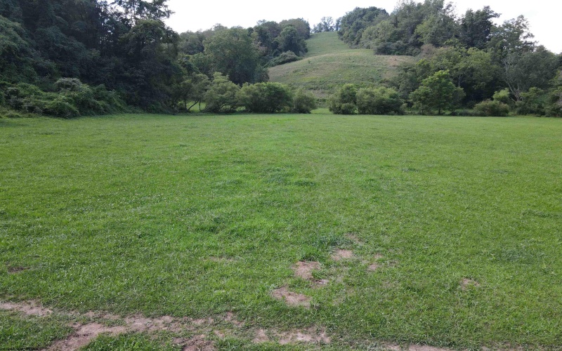 TBD Hog Camp Road, Jane Lew, West Virginia 26378, 0 , 0 ,0,Lots/land,For Sale,Hog Camp,0,10166587