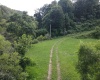 TBD Hog Camp Road, Jane Lew, West Virginia 26378, 0 , 0 ,0,Lots/land,For Sale,Hog Camp,0,10166587