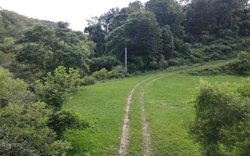 TBD Hog Camp Road, Jane Lew, West Virginia 26378, 0 , 0 ,0,Lots/land,For Sale,Hog Camp,0,10166587