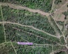 TBD Hog Camp Road, Jane Lew, West Virginia 26378, 0 , 0 ,0,Lots/land,For Sale,Hog Camp,0,10166587