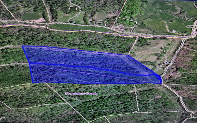 TBD Hog Camp Road, Jane Lew, West Virginia 26378, 0 , 0 ,0,Lots/land,For Sale,Hog Camp,0,10166587