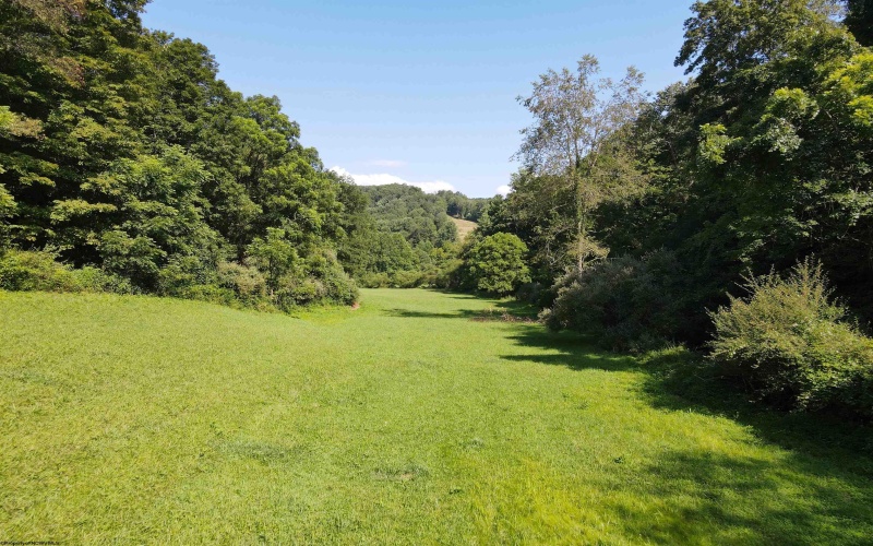 TBD Hog Camp Road, Jane Lew, West Virginia 26378, 0 , 0 ,0,Lots/land,For Sale,Hog Camp,0,10166587