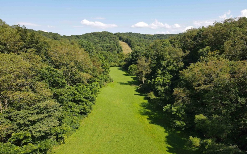 TBD Hog Camp Road, Jane Lew, West Virginia 26378, 0 , 0 ,0,Lots/land,For Sale,Hog Camp,0,10166587