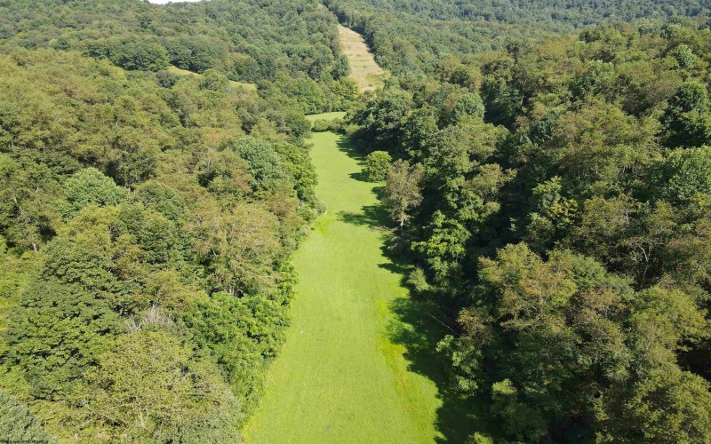 TBD Hog Camp Road, Jane Lew, West Virginia 26378, 0 , 0 ,0,Lots/land,For Sale,Hog Camp,0,10166587