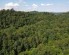 TBD Hog Camp Road, Jane Lew, West Virginia 26378, 0 , 0 ,0,Lots/land,For Sale,Hog Camp,0,10166587