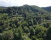 TBD Hog Camp Road, Jane Lew, West Virginia 26378, 0 , 0 ,0,Lots/land,For Sale,Hog Camp,0,10166587