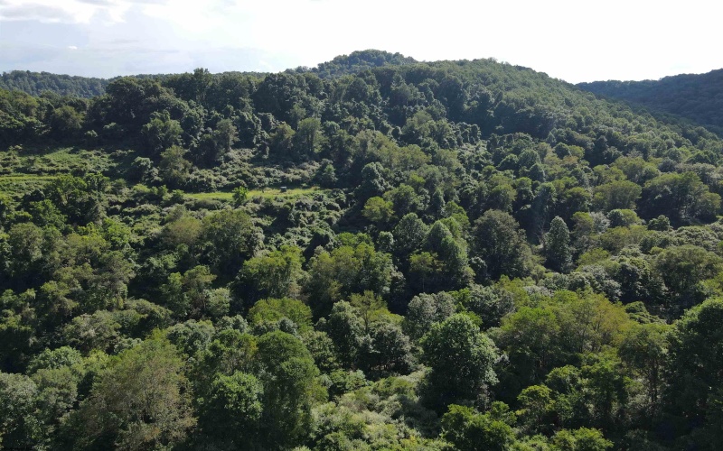 TBD Hog Camp Road, Jane Lew, West Virginia 26378, 0 , 0 ,0,Lots/land,For Sale,Hog Camp,0,10166587