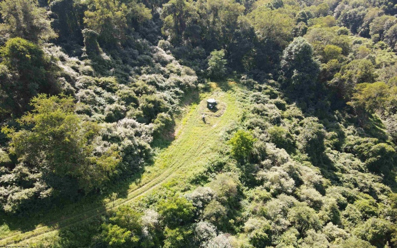 TBD Hog Camp Road, Jane Lew, West Virginia 26378, 0 , 0 ,0,Lots/land,For Sale,Hog Camp,0,10166587
