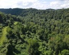 TBD Hog Camp Road, Jane Lew, West Virginia 26378, 0 , 0 ,0,Lots/land,For Sale,Hog Camp,0,10166587