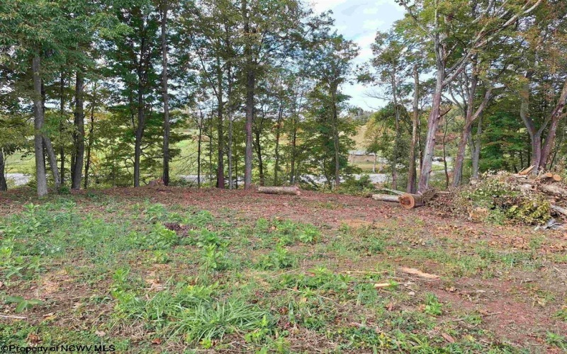 TBD Bluebell Drive, Clarksburg, West Virginia 26301, 0 , 0 ,0,Lots/land,For Sale,Bluebell,0,10157938