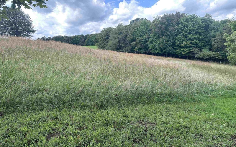 758 Jonestown Mount Liberty Road, Philippi, West Virginia 26416, 4 Bedroom Bedrooms, 9 Room Rooms,2 BathroomBathrooms,Single Family Detached,For Sale,Jonestown Mount Liberty,0,10166591