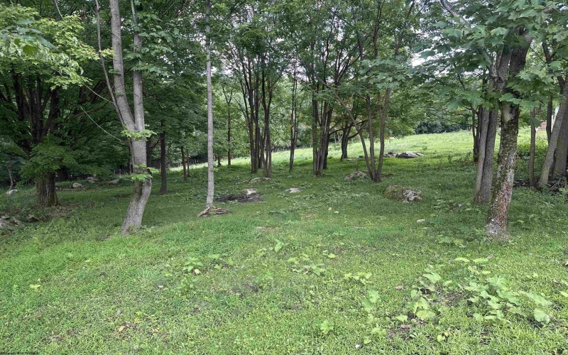 758 Jonestown Mount Liberty Road, Philippi, West Virginia 26416, 4 Bedroom Bedrooms, 9 Room Rooms,2 BathroomBathrooms,Single Family Detached,For Sale,Jonestown Mount Liberty,0,10166591