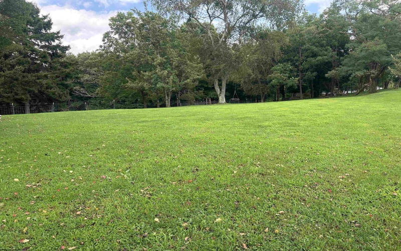 758 Jonestown Mount Liberty Road, Philippi, West Virginia 26416, 4 Bedroom Bedrooms, 9 Room Rooms,2 BathroomBathrooms,Single Family Detached,For Sale,Jonestown Mount Liberty,0,10166591