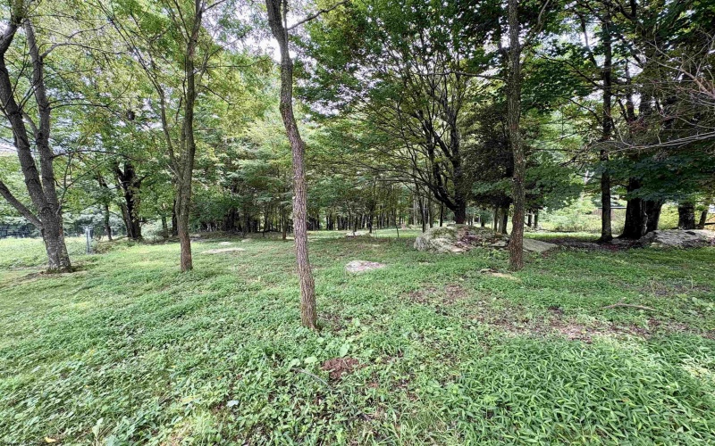 758 Jonestown Mount Liberty Road, Philippi, West Virginia 26416, 4 Bedroom Bedrooms, 9 Room Rooms,2 BathroomBathrooms,Single Family Detached,For Sale,Jonestown Mount Liberty,0,10166591