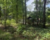 425 Main Street, Montrose, West Virginia 26283, 0 , 0 ,0,Lots/land,For Sale,Main,0,10166620