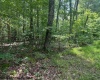425 Main Street, Montrose, West Virginia 26283, 0 , 0 ,0,Lots/land,For Sale,Main,0,10166620