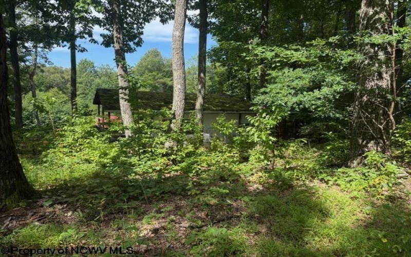 425 Main Street, Montrose, West Virginia 26283, 0 , 0 ,0,Lots/land,For Sale,Main,0,10166620