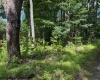 425 Main Street, Montrose, West Virginia 26283, 0 , 0 ,0,Lots/land,For Sale,Main,0,10166620