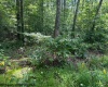 425 Main Street, Montrose, West Virginia 26283, 0 , 0 ,0,Lots/land,For Sale,Main,0,10166620