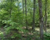 425 Main Street, Montrose, West Virginia 26283, 0 , 0 ,0,Lots/land,For Sale,Main,0,10166620