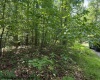 425 Main Street, Montrose, West Virginia 26283, 0 , 0 ,0,Lots/land,For Sale,Main,0,10166620