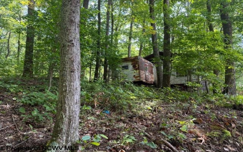425 Main Street, Montrose, West Virginia 26283, 0 , 0 ,0,Lots/land,For Sale,Main,0,10166620