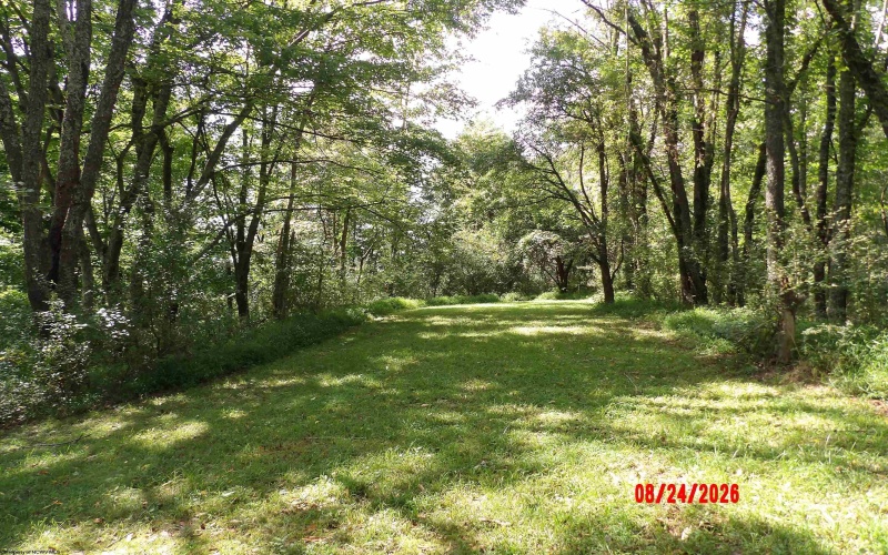 3788 Brushy Fork Road, Buckhannon, West Virginia 26201, 3 Bedroom Bedrooms, 5 Room Rooms,1 BathroomBathrooms,Single Family Detached,For Sale,Brushy Fork,0,10166626