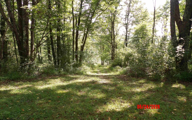3788 Brushy Fork Road, Buckhannon, West Virginia 26201, 3 Bedroom Bedrooms, 5 Room Rooms,1 BathroomBathrooms,Single Family Detached,For Sale,Brushy Fork,0,10166626