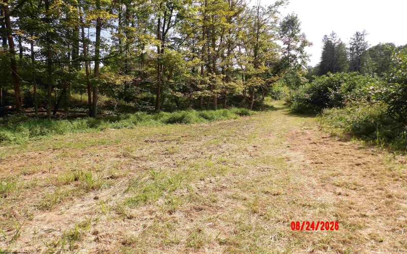 3788 Brushy Fork Road, Buckhannon, West Virginia 26201, 3 Bedroom Bedrooms, 5 Room Rooms,1 BathroomBathrooms,Single Family Detached,For Sale,Brushy Fork,0,10166626